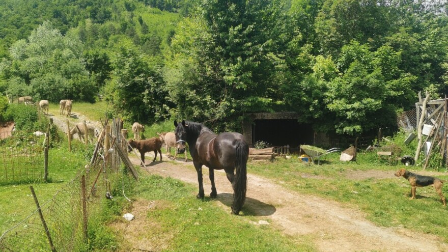 Crtica iz Tiškovca: Zaboravljeno selo u dva kantona i dvije države