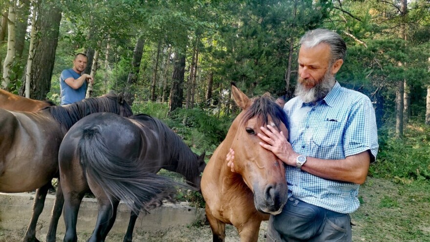 Priča iz Lučice: Tamo gde slepi konj "vidi" više od sistema