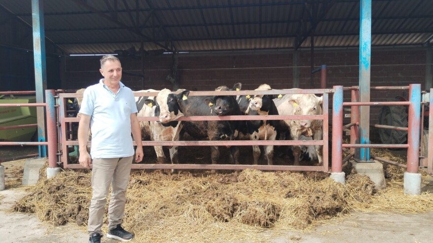 Farma Kovačević: Nekada uspešna mlekara - danas tovilište teladi i junadi