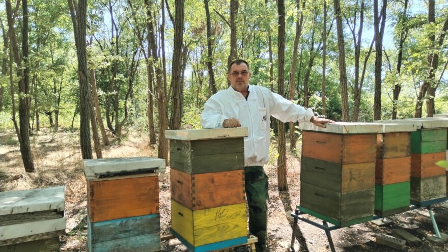 Banatski pčelar Radovan Radivojević završio je vrcanje meda za ovu godinu. Ima li prinosa?