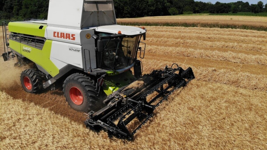 Mauthner: Durum pšenica traži kvalitetu, ali donosi i veću zaradu