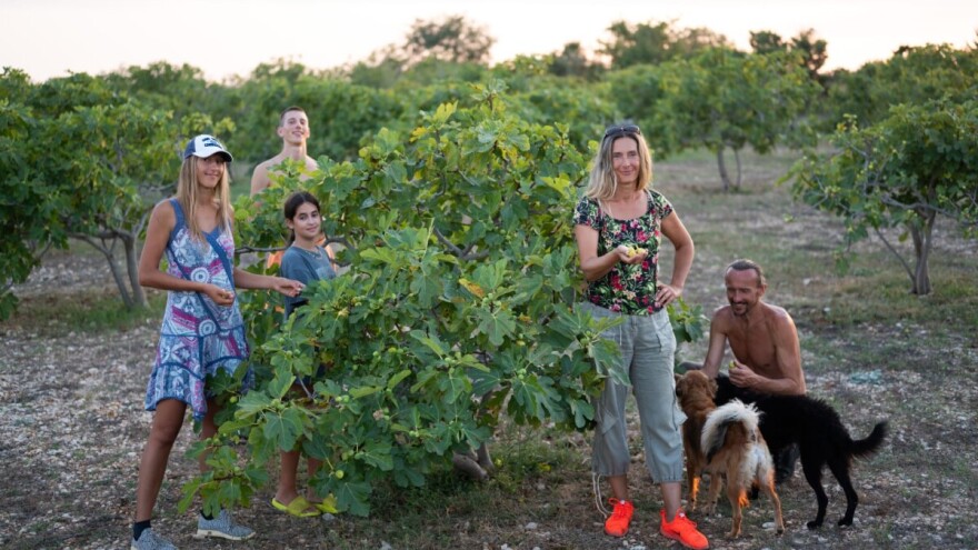 Šinjorina Smokva: Mi smo zaista krenuli od nule, od onog jednog stabla u našem dvorištu