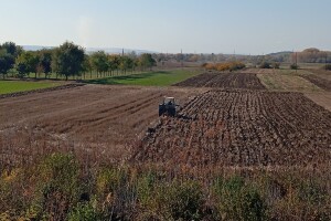 Hladna jutra sa mrazem, uz retku pojavu kiše. Evo prognoze za naredni period