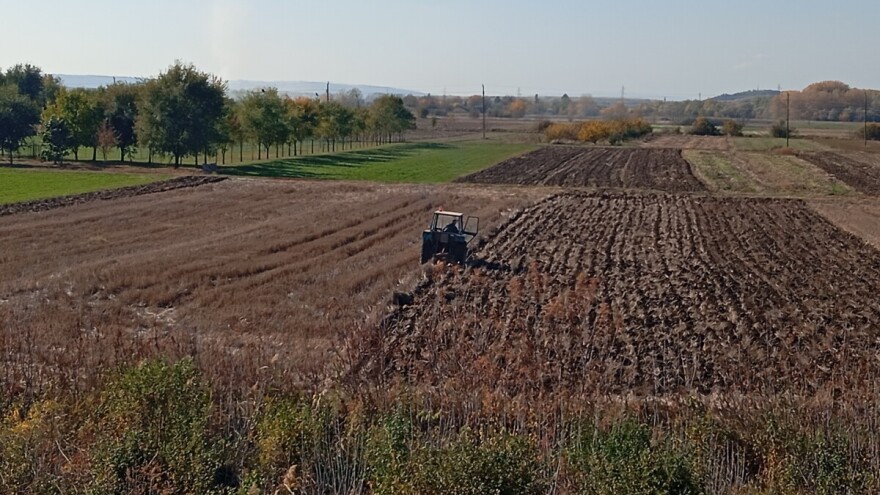 Hladna jutra sa mrazem, uz retku pojavu kiše. Evo prognoze za naredni period