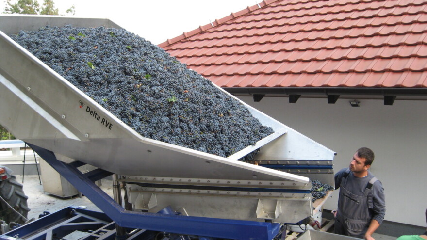 Izvoz agrarnih proizvoda - 40 miliona evra!