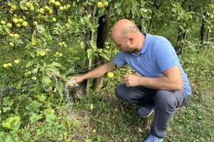 Ne čekajte ni dan: Koliko gnojiva sada aplicirati oko stabala?