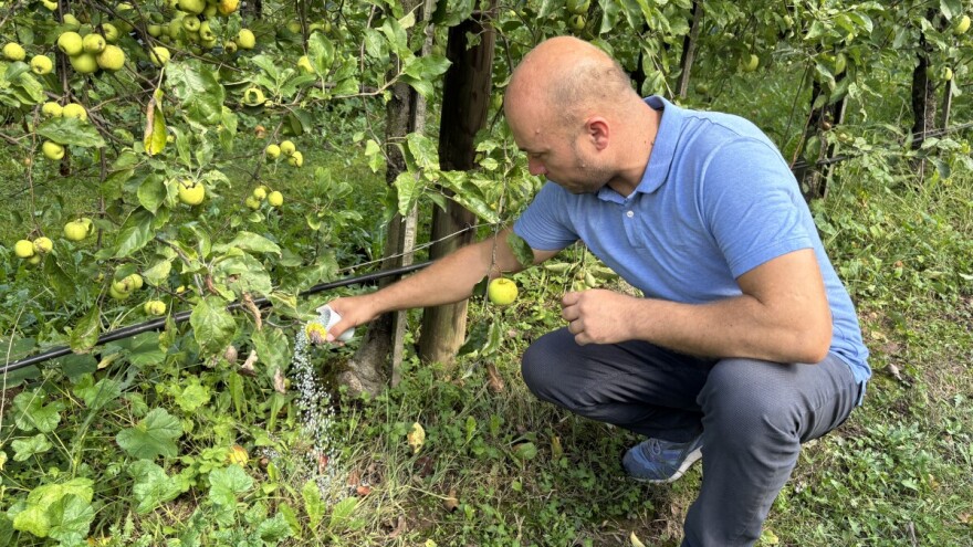 Ne čekajte ni dan: Koliko gnojiva sada aplicirati oko stabala?