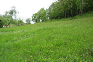 Dio imovine Agrokomerca se prodaje za 35 miliona KM