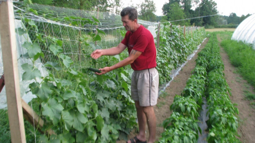 Na selu posla na sve strane, ali treba imati volju