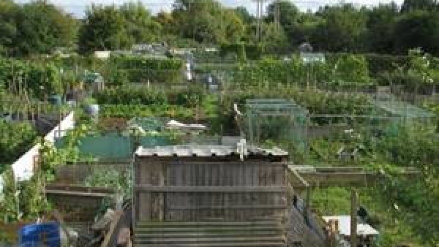 Društveni vrtovi, i to je poljoprivreda