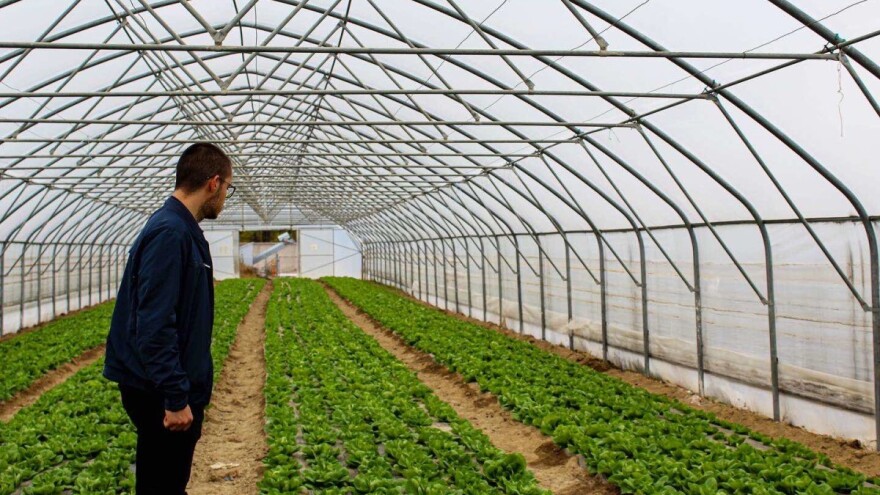 Mogu li mladi agronomi novim trendovima spasiti bh. poljoprivredu?