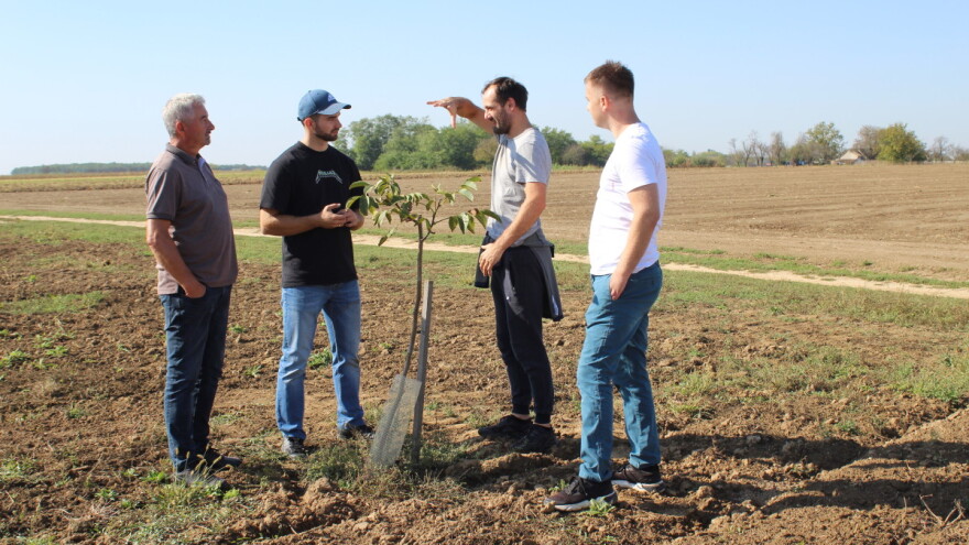Tomislav Pope: Orah Chandler otporniji je od tradicionalnih sorti