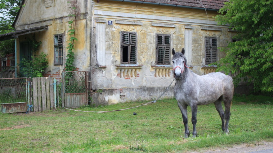 Daniel Spajić: Nikakvi koncepti pametnih sela ne mogu vratiti stanovnike koje smo izgubili