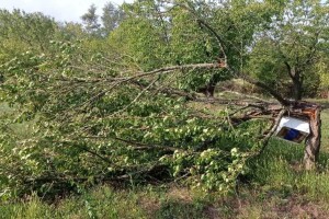 Ima li kraja štetama? Olujno nevrijeme s tučom poharalo novogradiško i kutinsko područje