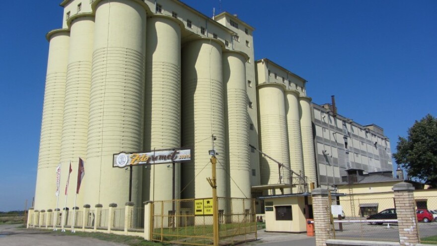 Novi rod ima kupca i pre setve pšenice!