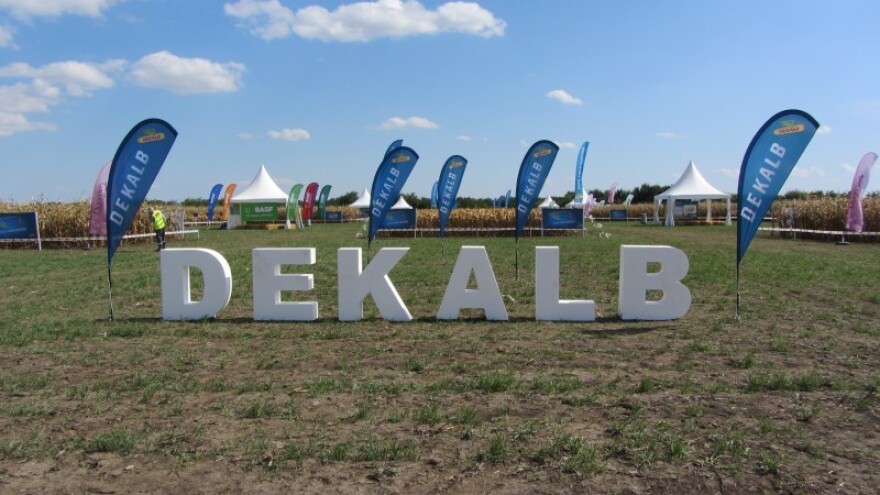 Dekalb - Živi na njivi