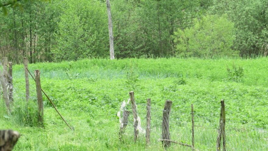 Novac za projekte uređenja poljoprivrednog zemljišta