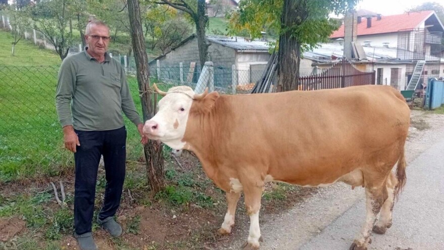 Osman i njegova šampionka ponovo briljirali na izložbi: "Po svemu je najbolja"