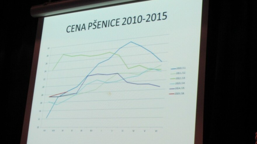 Sirotinjska setva pšenice