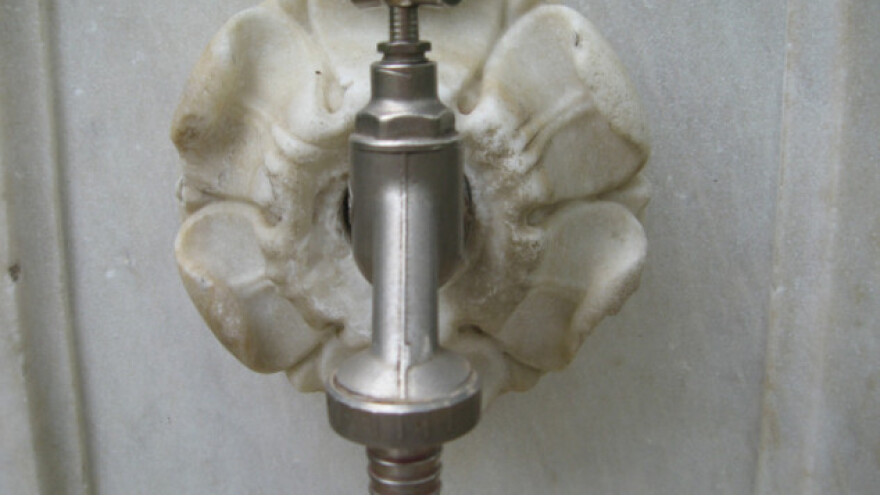 Česme su da se gasi žeđ, ali su i ukras