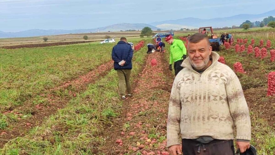 Kovačević izvadio 80 tona krompira: "Spreman je za prodaju, u ponudi i sjemenski"