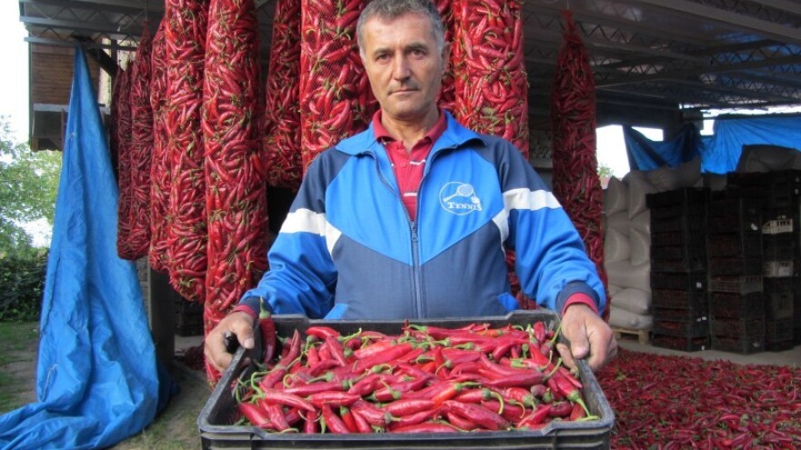Sertifikat obezbeđuje 10€/kg