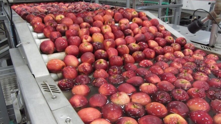 Zoran Keserović: Manje voća u 2019. godini i to za osam odsto