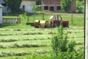 Kada i kako obaviti košenje i sušenje sijena?