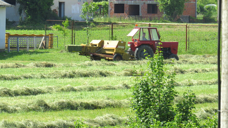Kada i kako obaviti kosidbu i sušenje sena?