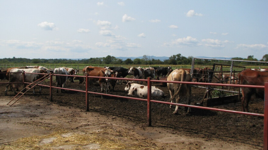 Isplaćeno 1,6 miliona KM za podsticaje u poljoprivredi u Republici Srpskoj