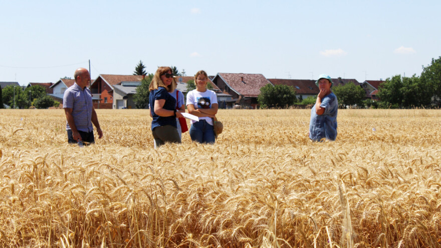 Hrvatska druga u EU po proizvodnji sjemena soje, a u čemu smo samodostatni?