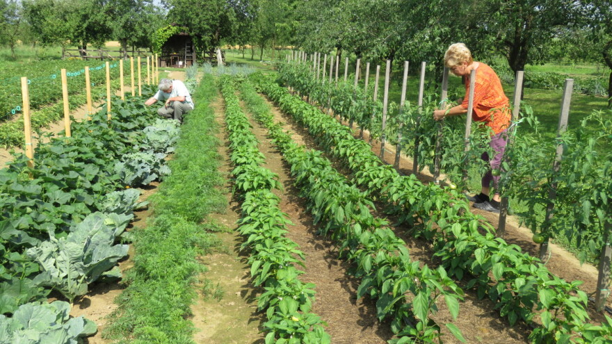 Danijela i Đuro Matokanović uživaju u vrtu, voćnjaku, cvijeću -  vole doticaj sa zemljom koja ih svakodnevno nadahnjuje