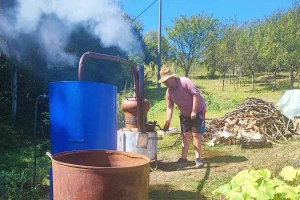 Od rakije iz Tumra se ne tumara: Vesele mašine u punom pogonu