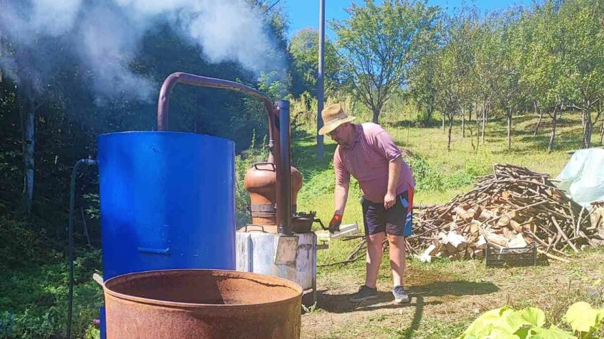 Od rakije iz Tumra se ne tumara: Vesele mašine u punom pogonu