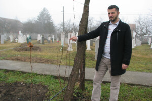 Gaji organsku malinu, teže je, ali isplativije