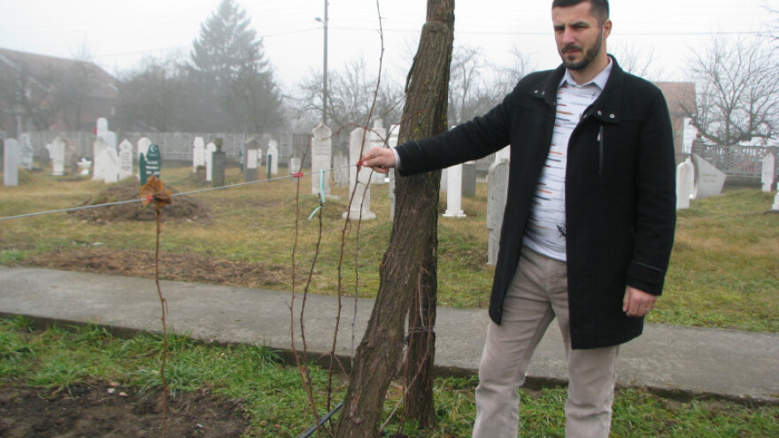 Gaji organsku malinu, teže je, ali isplativije