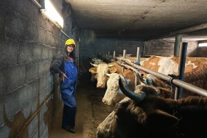 Pre škole završi poslove u štali, sanja diplomu veterinara i veliki traktor