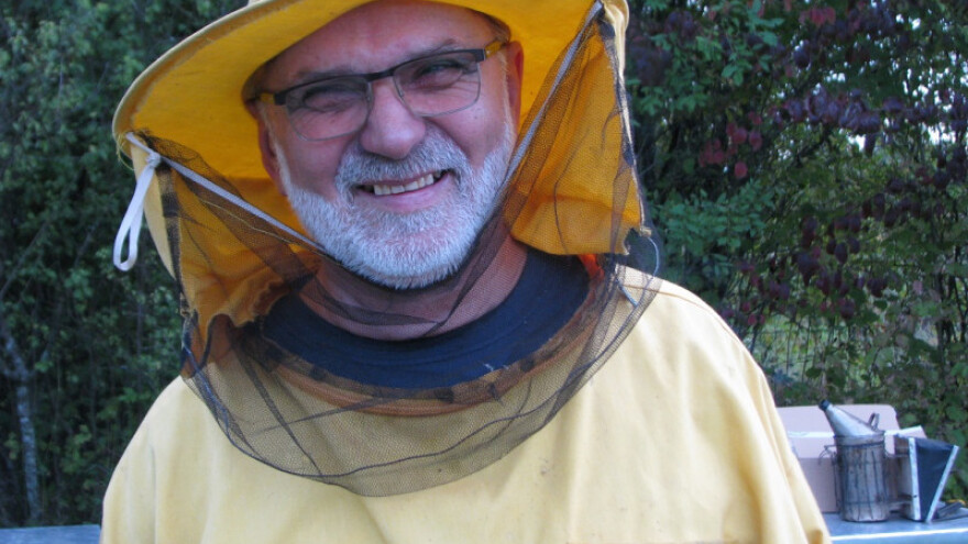 Ministrove pčele sakupljaju mednu rosu pored Save