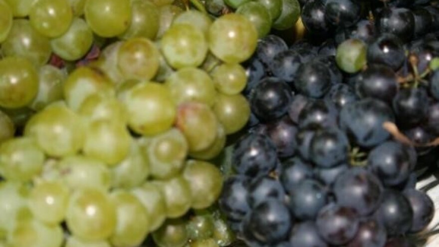 Važno je i vrijeme zriobe