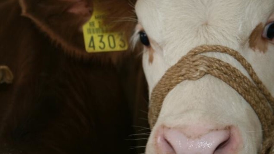 Legalizacija poljoprivrednih objekata - pravi posao tek slijedi