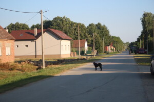 Može li koncept Pametna sela vratiti život hrvatskim selima?