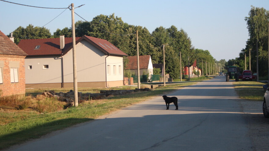Može li koncept Pametna sela vratiti život hrvatskim selima?