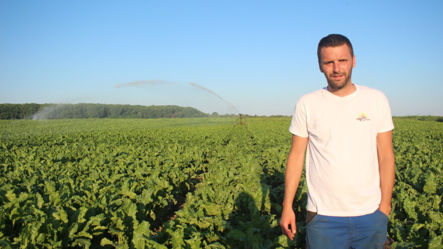 Šest tifona na OPG-u Smolčić: Uzgoj je nezamisliv bez navodnjavanja