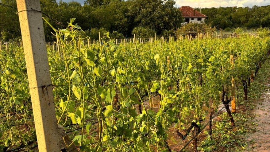 Stanje prirodne nepogode proglašeno u šest mjesnih zajednica u Grudama