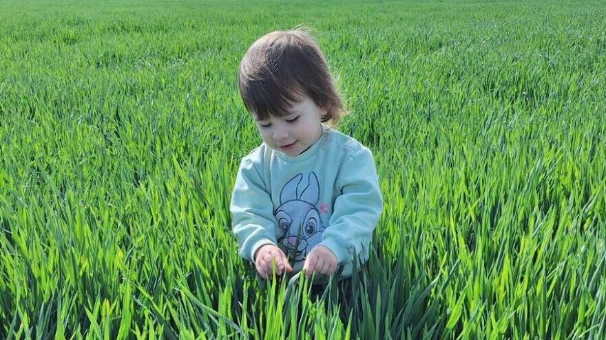 Broj lajkova bitniji od broja ovaca: Ima li perspektive za mlade na selu?