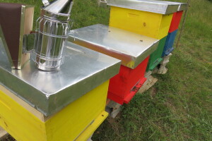 Semberski pčelari zadovoljni prinosom bagremovog meda - koliki su?
