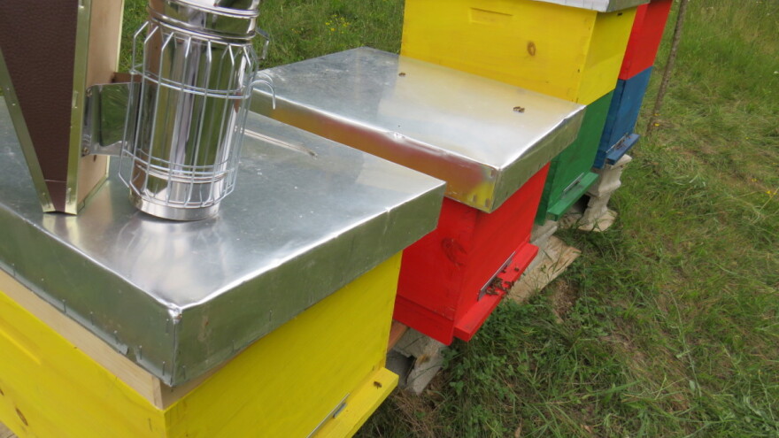 Semberski pčelari zadovoljni prinosom bagremovog meda - koliki su?