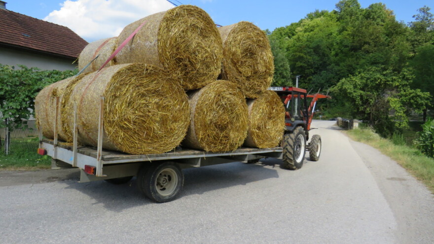 Nedostatak sijena ugrožava stočni fond u Semberiji