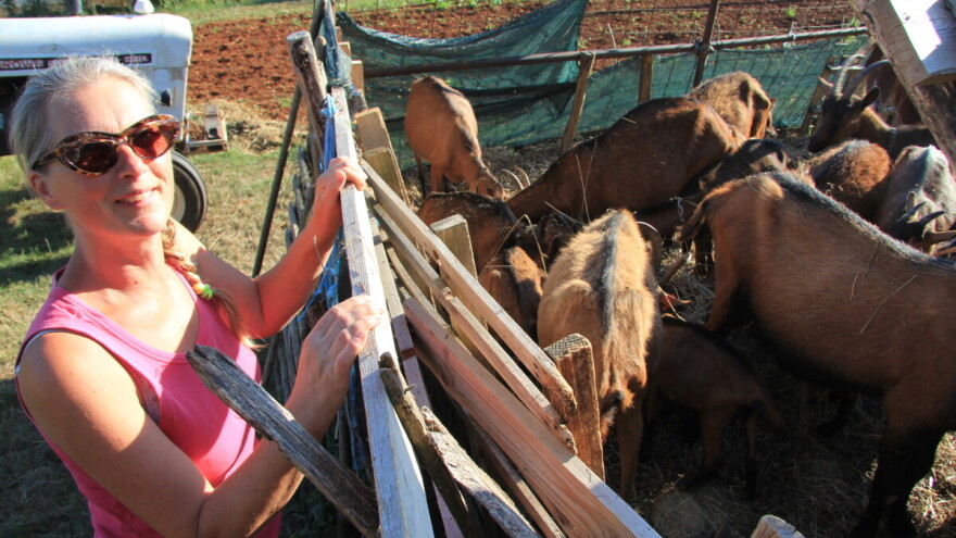 Iz Trsta u Zrenj i koze, Mira Gardoš je jasna: Vjerujem u svoj projekt