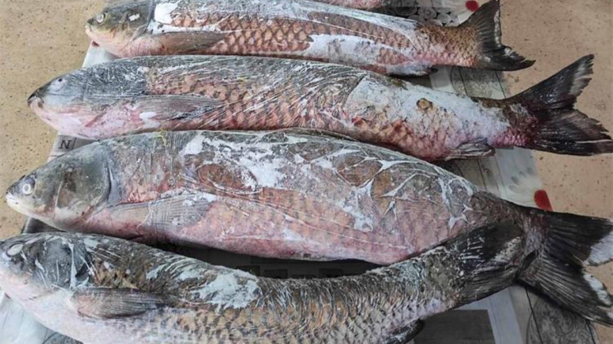 Policija ribiču upala u dom zbog oštećenog čamca pa mu oduzeli 112 kg ribe